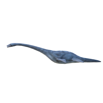 薄片龙(3D动画模型)