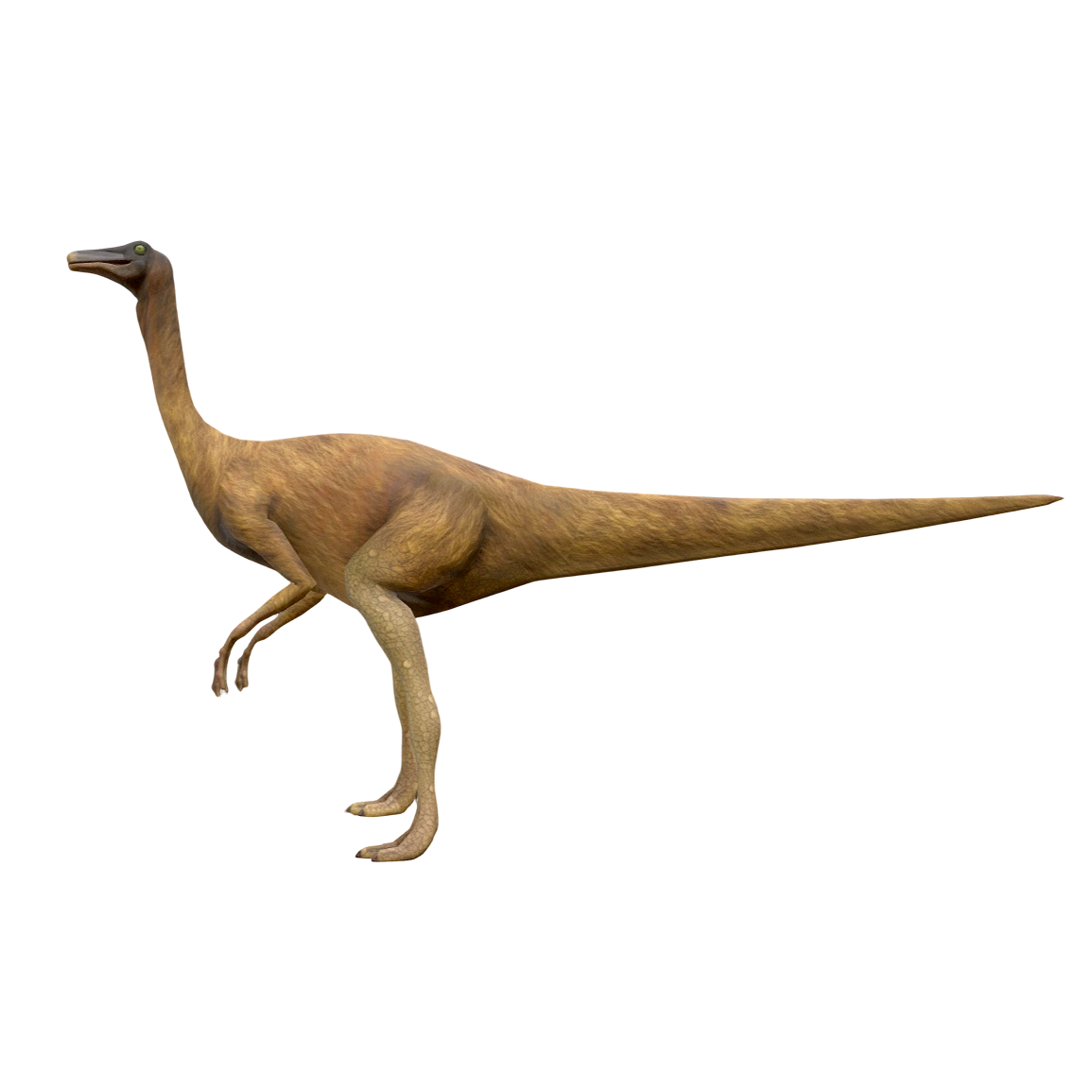 似鸡龙（3D动画模型）3D模型预览图，支持stl,blend,fbx,glb,gltf格式下载