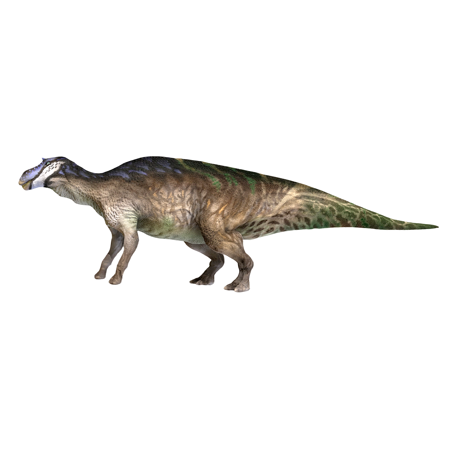 慈母龙（3D动画模型）3D模型预览图，支持gltf,stl,blend,fbx,glb格式下载