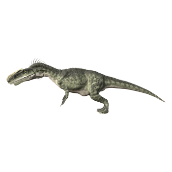 单脊龙（3D动画模型）