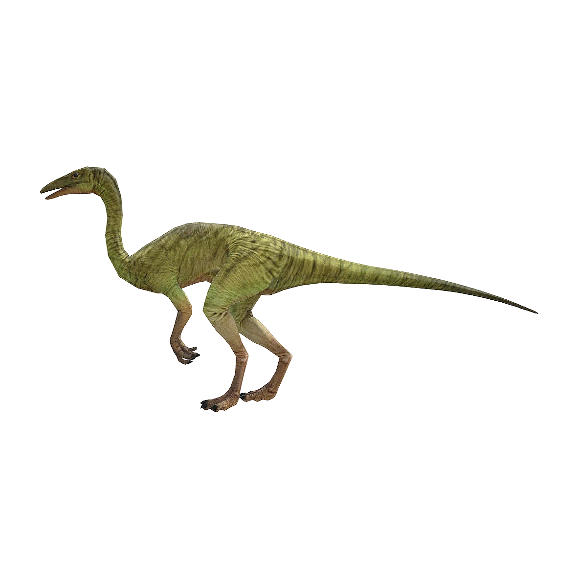 美颌龙（3D动画模型）3D模型预览图，支持stl,blend,glb,fbx,gltf格式下载