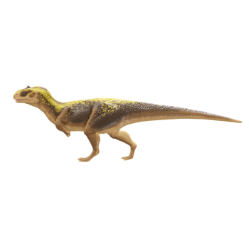 纳巴达胜王龙（3D动画模型）