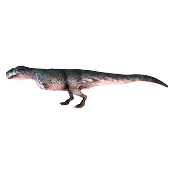 玛君龙（3D动画模型）