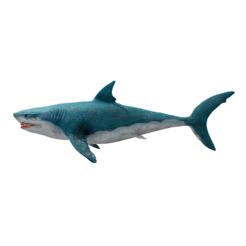 巨齿鲨（3D动画模型）