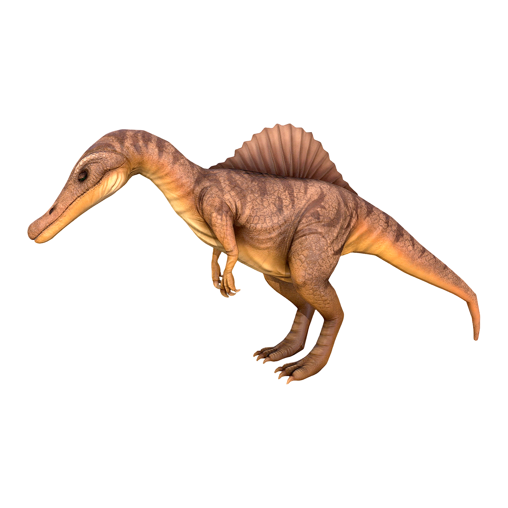 暹罗龙（3D动画模型）3D模型预览图，支持stl,blend,fbx,glb,gltf格式下载