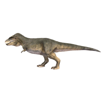 特暴龙（3D动画模型）