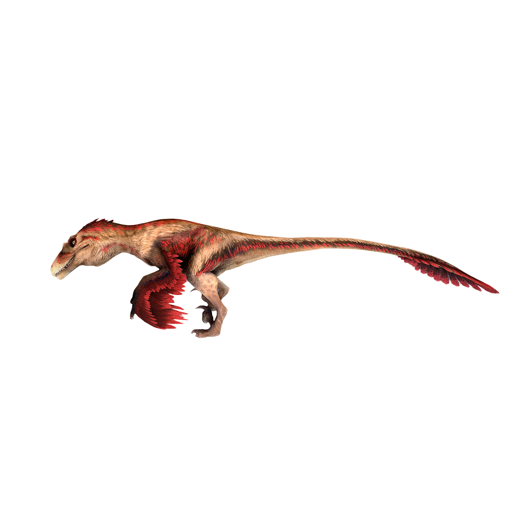 达科塔盗龙（3D动画模型）3D模型预览图，支持gltf,stl,fbx,glb,blend格式下载