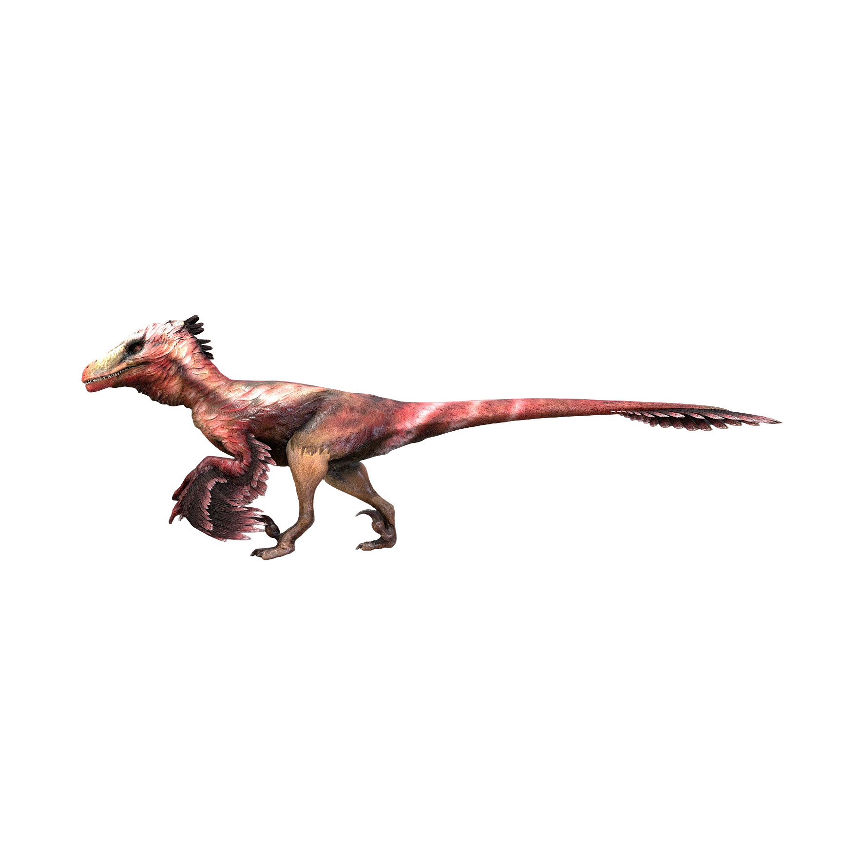 盗龙（3D动画模型）3D模型预览图，支持gltf,stl,blend,fbx,glb格式下载