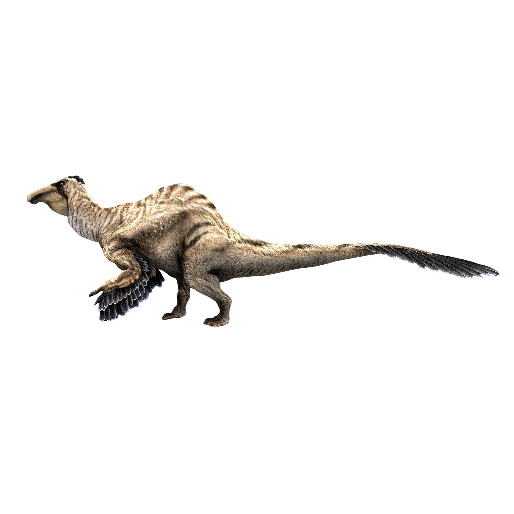 恐手龙(3D动画模型)3D模型预览图，支持stl,blend,fbx,glb,gltf格式下载