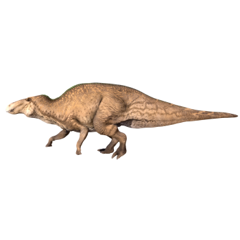 埃德蒙顿龙（3D动画模型）