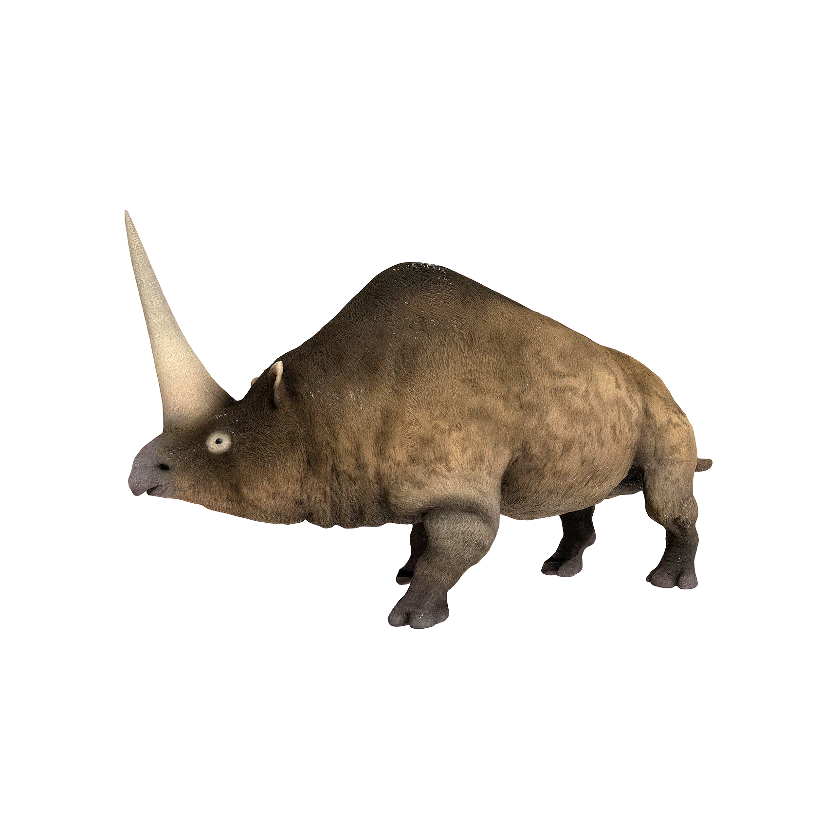 板齿犀（3D动画模型）3D模型预览图，支持gltf,stl,blend,fbx,glb格式下载