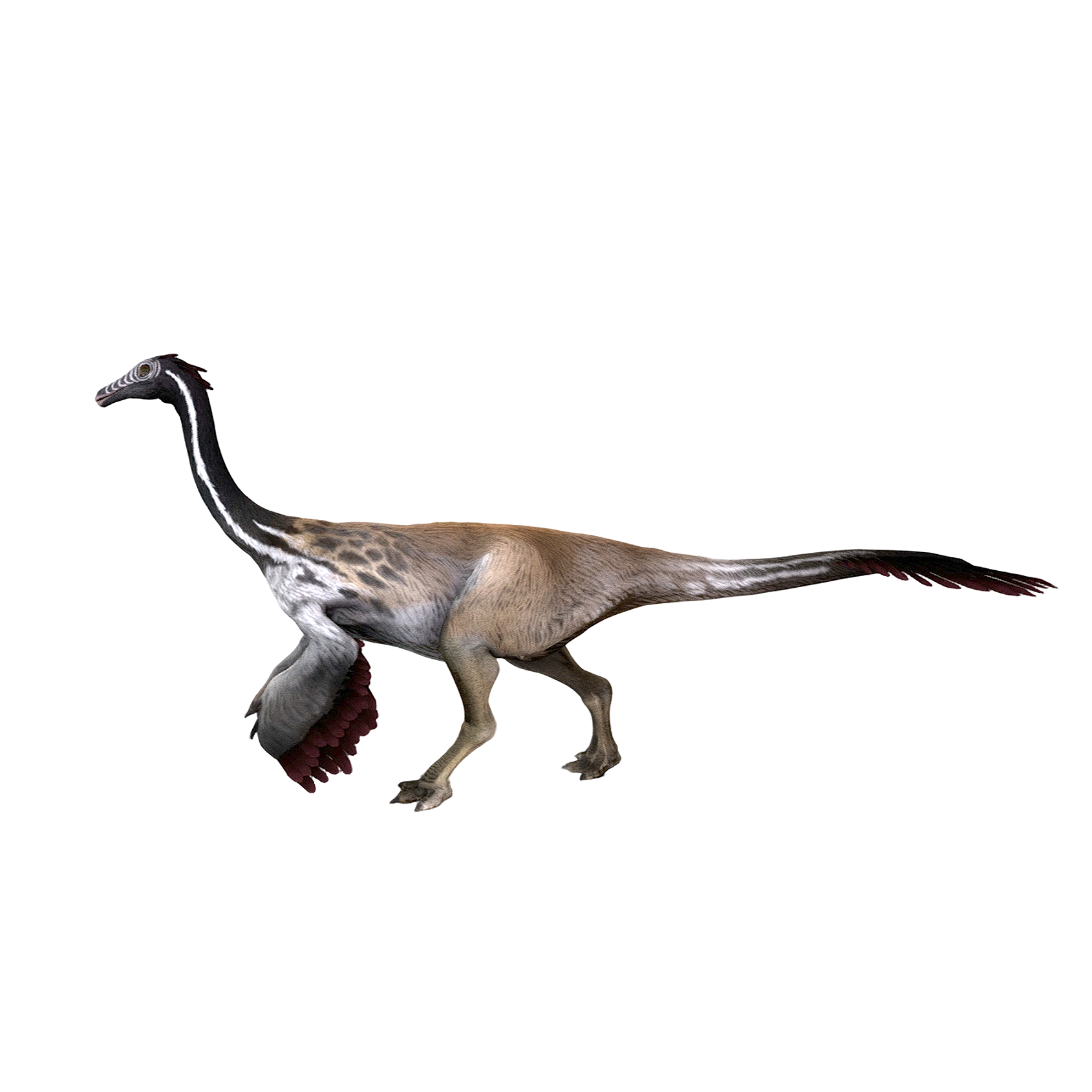 似鸡龙（3D动画模型）3D模型预览图，支持gltf,stl,blend,fbx,glb格式下载
