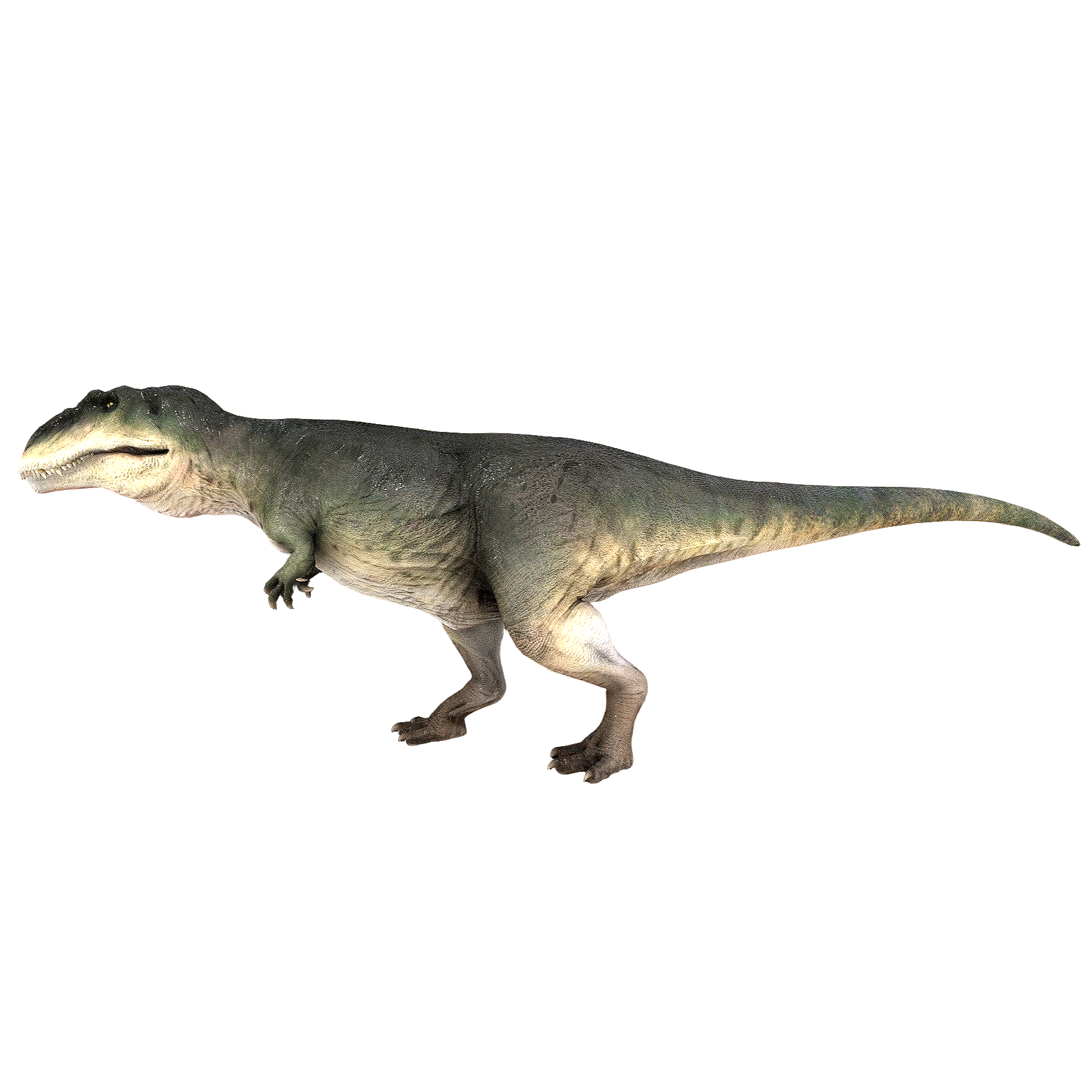 南方巨兽龙（3D动画模型）3D模型预览图，支持gltf,stl,blend,fbx,glb格式下载