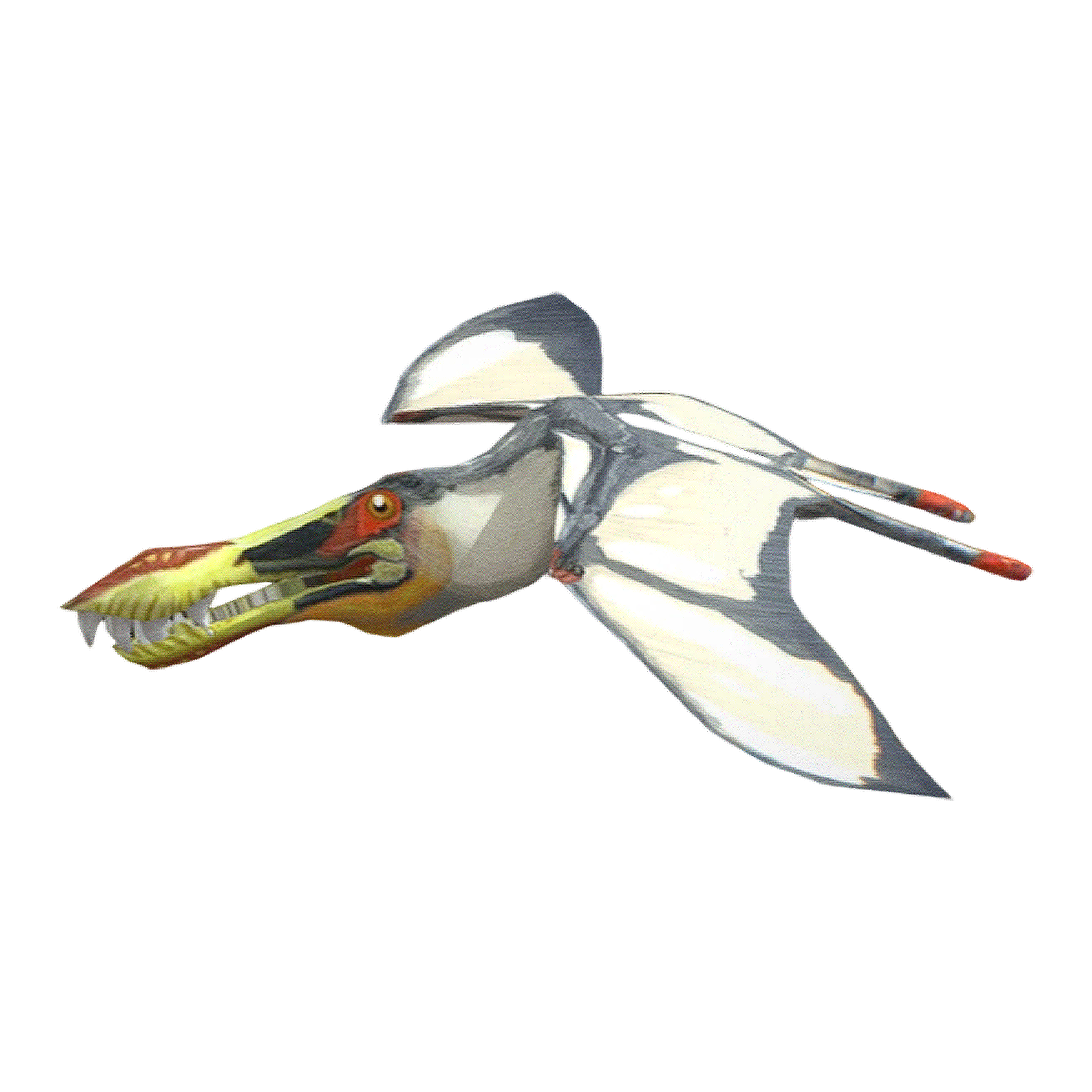 辽宁翼龙（3D动画模型）3D模型预览图，支持gltf,stl,blend,fbx,glb格式下载
