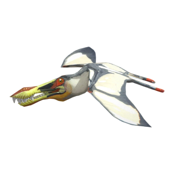 辽宁翼龙（3D动画模型）