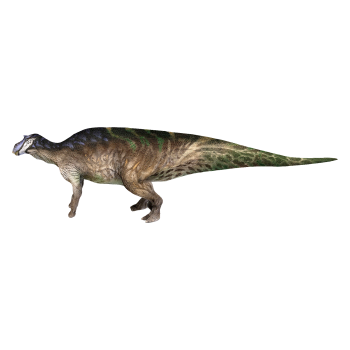 慈母龙（3D动画模型）