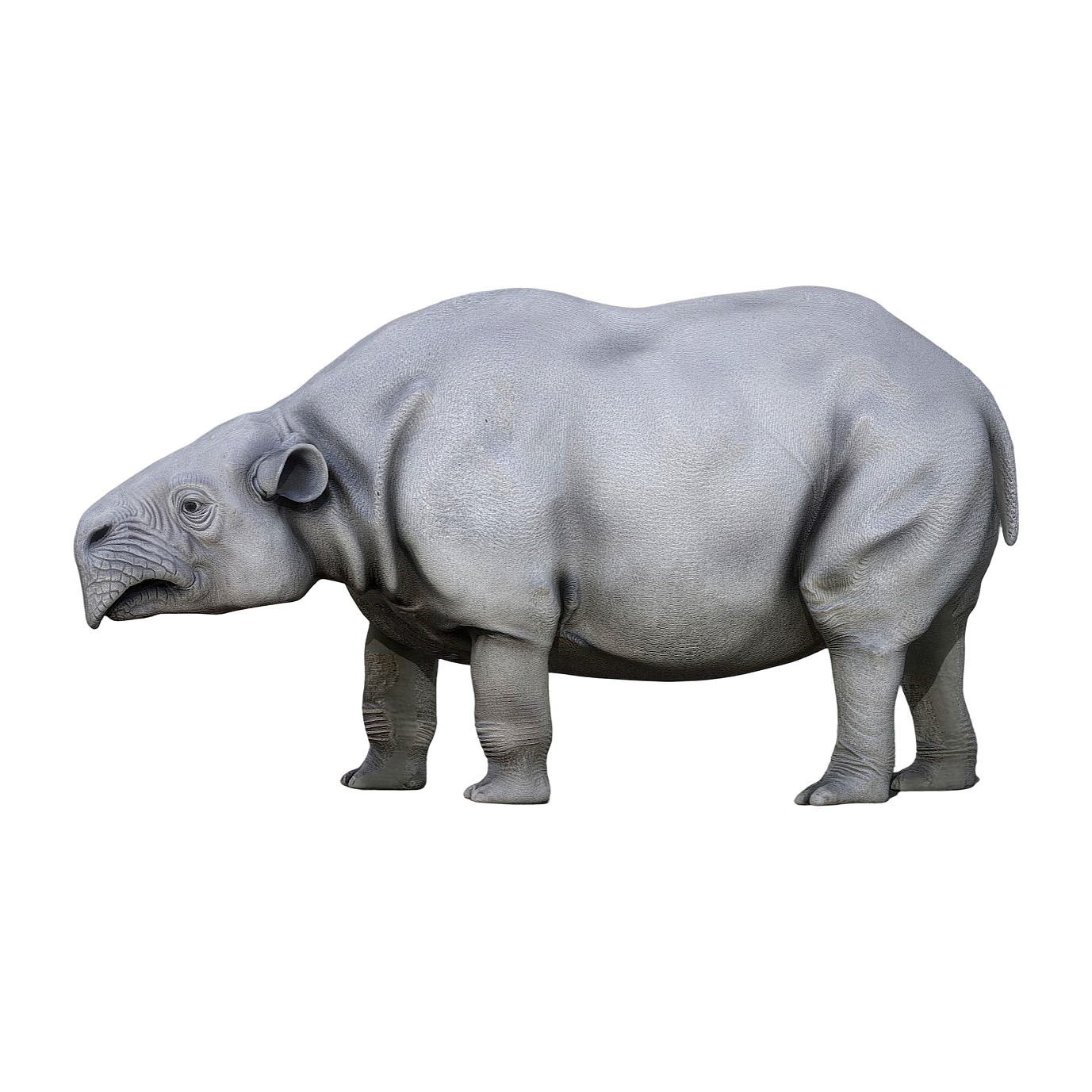 箭齿兽（3D动画模型）3D模型预览图，支持glb,gltf,stl,blend,fbx格式下载