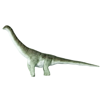 阿根廷龙（3D动画模型）