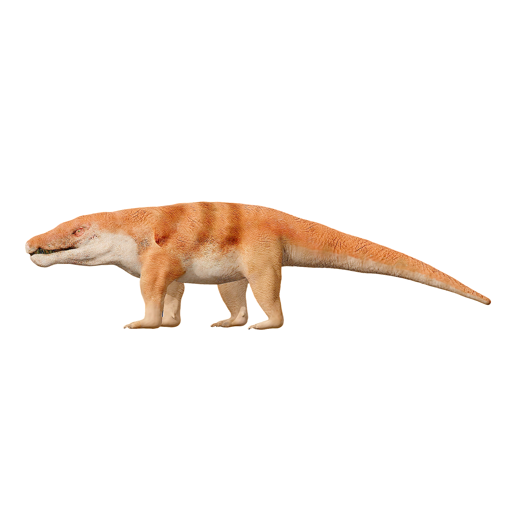巴鲁鳄（3D动画模型）3D模型预览图，支持blend,fbx,glb,gltf,stl格式下载