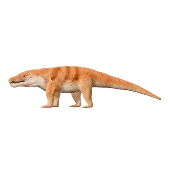 巴鲁鳄（3D动画模型）