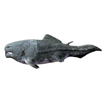 恐鱼（3D动画模型）
