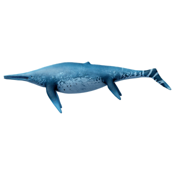 鱼龙（3D动画模型）