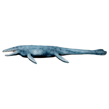 达克龙（3D动画模型）