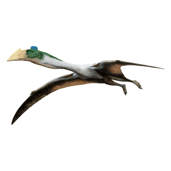 风神翼龙（3D动画模型）