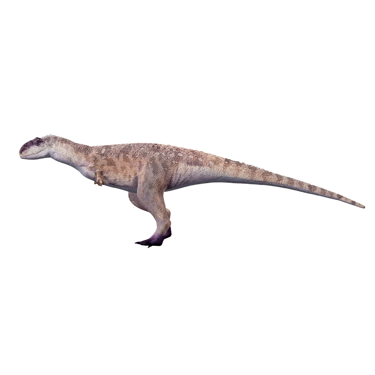 胜王龙（3D动画模型）3D模型预览图，支持gltf,stl,blend,fbx,glb格式下载