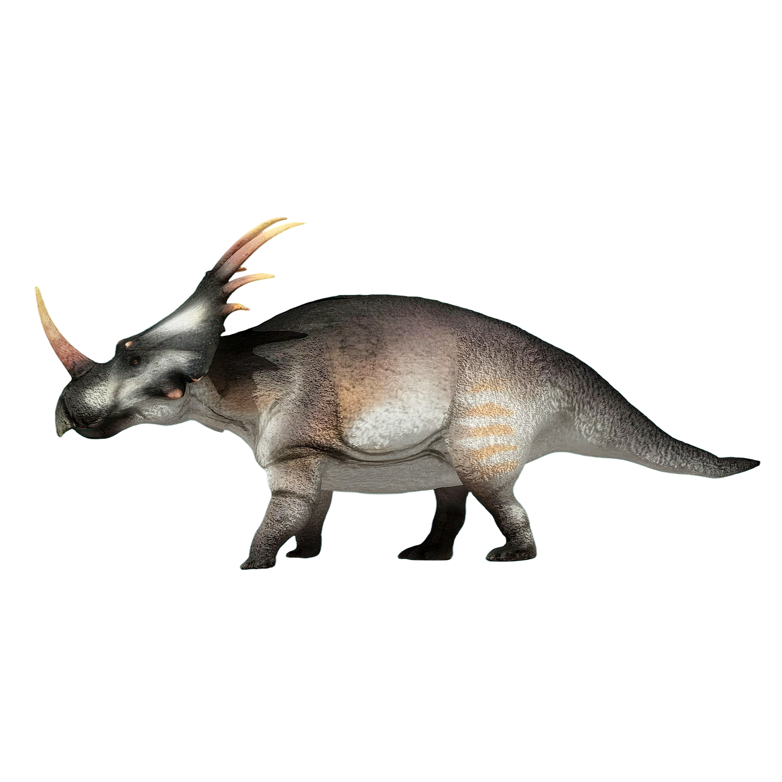 戟龙（3D动画模型）3D模型预览图，支持blend,fbx,glb,gltf,stl格式下载