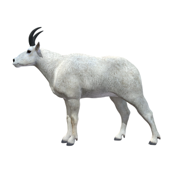 山羊（3D动画模型）