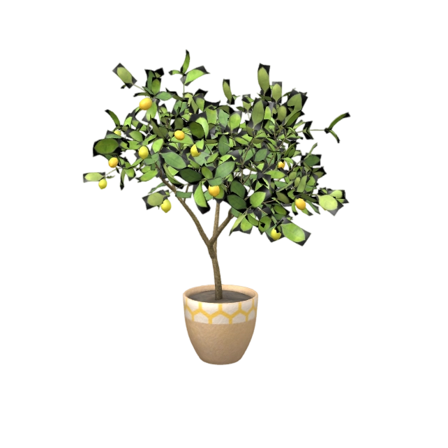盆栽柠檬树 | 3D,植物模型,,室内绿植,盆栽柠檬树,tochechka,数字植物,自然元素建模,柠檬树模型,3D模型,3D打印,3D素材,obj,glTF,fbx,dae,stl,3ds,glb,usdz,3dmax,blender模型,VisionPro,3D建模,3D扫描,3d打印模型