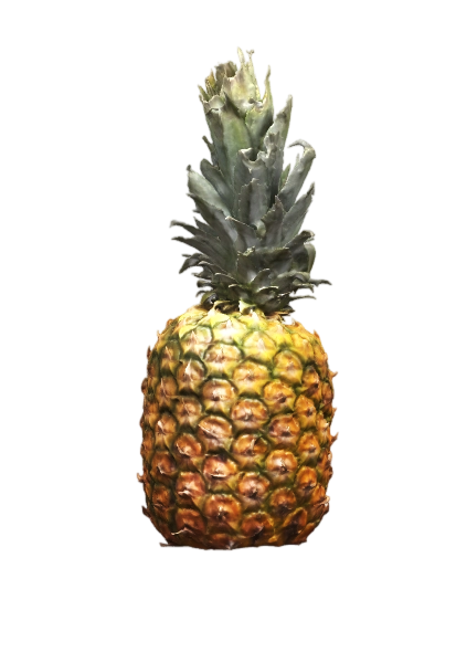 菠萝 | 3D,水果模型,自然形态还原,食物质感,菠萝模型,alban,热带水果建模,数字水果资产,细腻纹理,3D模型,3D打印,3D素材,obj,glTF,fbx,dae,stl,3ds,glb,usdz,3dmax,blender模型,VisionPro,3D建模,3D扫描,3d打印模型