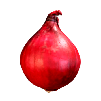 红洋葱