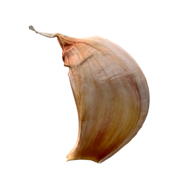 蒜 | 3D,写实食材建模,蒜模型,Beverly,大蒜形态还原,蔬果质感表现,厨房食材素材,蒜结构细节,3D模型,3D打印,3D素材,obj,glTF,fbx,dae,stl,3ds,glb,usdz,3dmax,blender模型,VisionPro,3D建模,3D扫描,3d打印模型