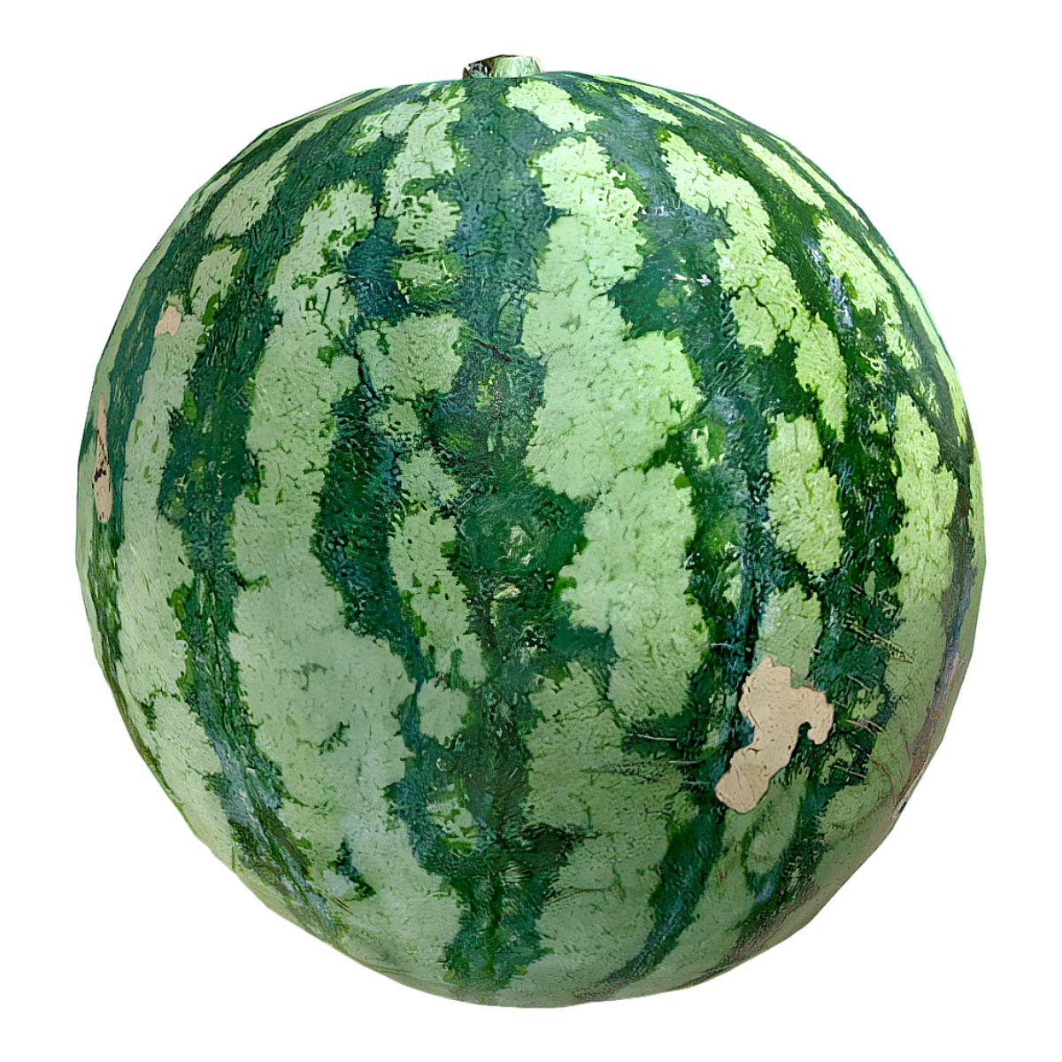 西瓜 | 水果,科普,西瓜,瓜果,AR百科,西瓜3D模型,3D模型,3D打印,3D素材,obj,glTF,fbx,dae,stl,3ds,glb,usdz,3dmax,blender模型,VisionPro,3D建模,3D扫描,3d打印模型