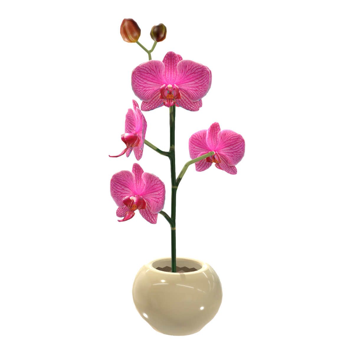 兰花 | 庭院,盆栽,花卉,兰花,兰花植物,兰花3D模型,兰花盆栽,花卉植物,养花,3D模型,3D打印,3D素材,obj,glTF,fbx,dae,stl,3ds,glb,usdz,3dmax,blender模型,VisionPro,3D建模,3D扫描,3d打印模型