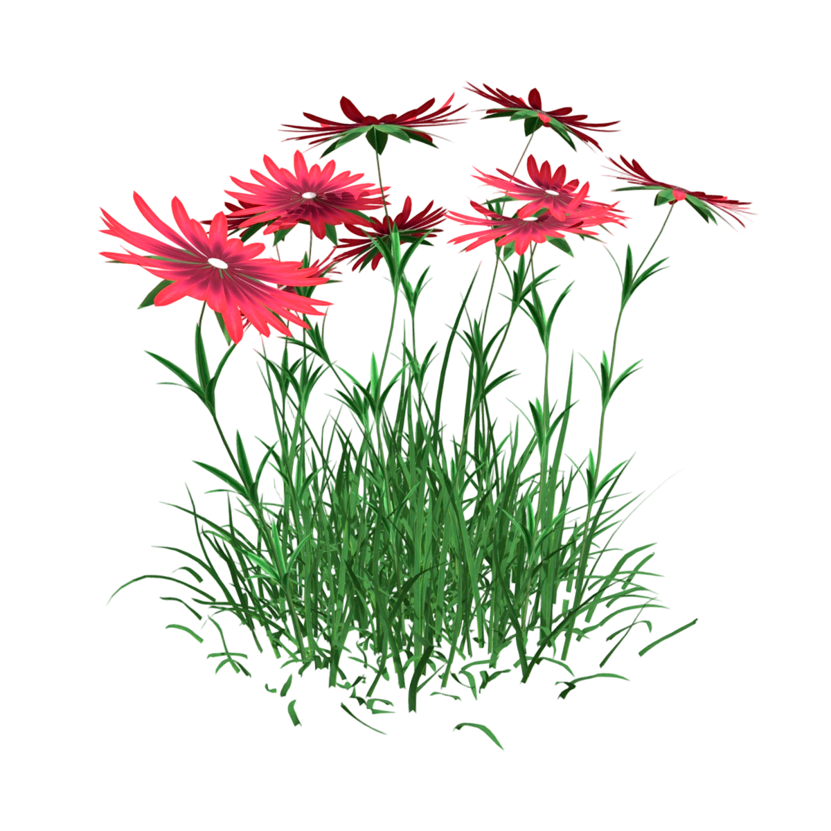 紫菀（Aster ） | 花卉,植物,绿植,观赏植物,观赏花卉,紫菀,园艺植物,3D模型,3D打印,3D素材,obj,glTF,fbx,dae,stl,3ds,glb,usdz,3dmax,blender模型,VisionPro,3D建模,3D扫描,3d打印模型