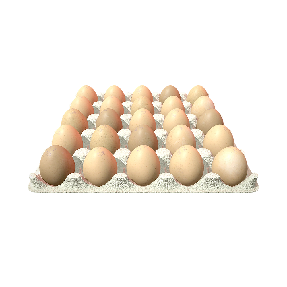 一托鸡蛋 | 鸡蛋,鸡蛋盘,蛋托,3D模型,3D打印,3D素材,obj,glTF,fbx,dae,stl,3ds,glb,usdz,3dmax,blender模型,VisionPro,3D建模,3D扫描,3d打印模型