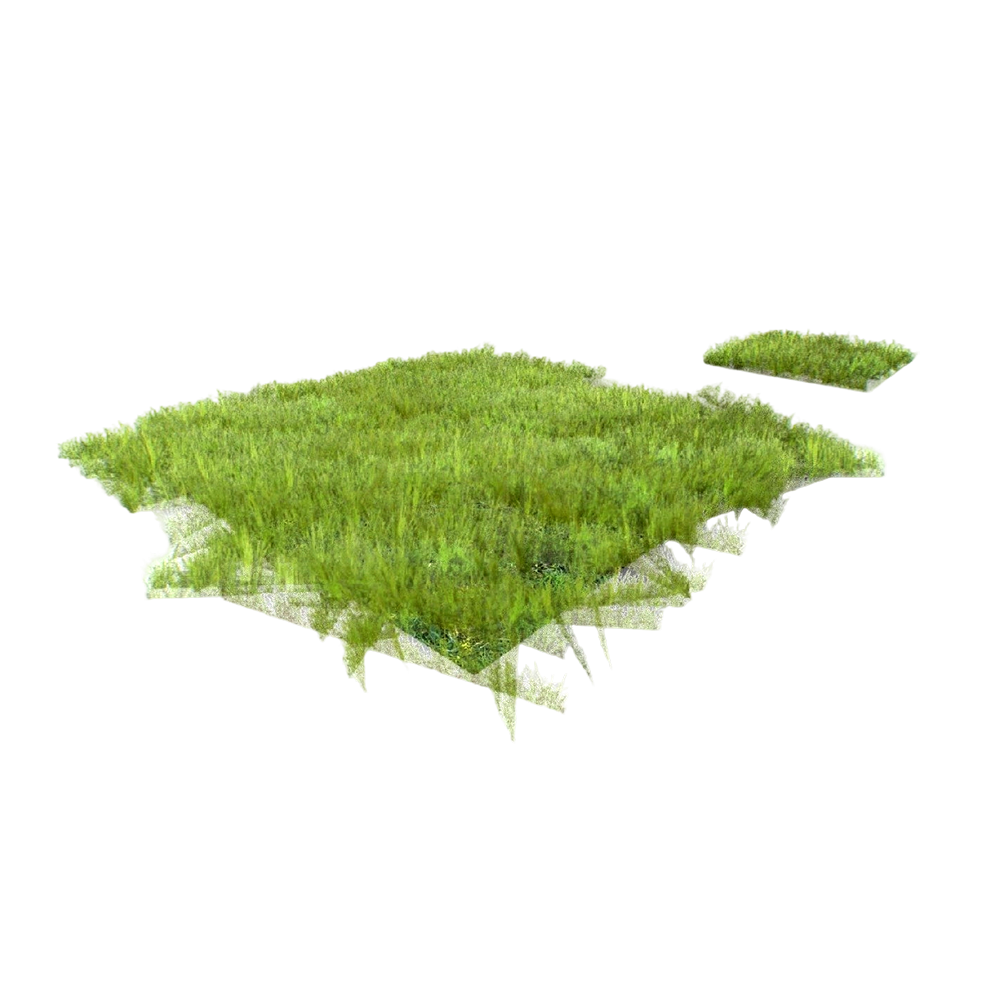 一片草地 | 草地,草坪,3D模型,3D打印,3D素材,obj,glTF,fbx,dae,stl,3ds,glb,usdz,3dmax,blender模型,VisionPro,3D建模,3D扫描,3d打印模型