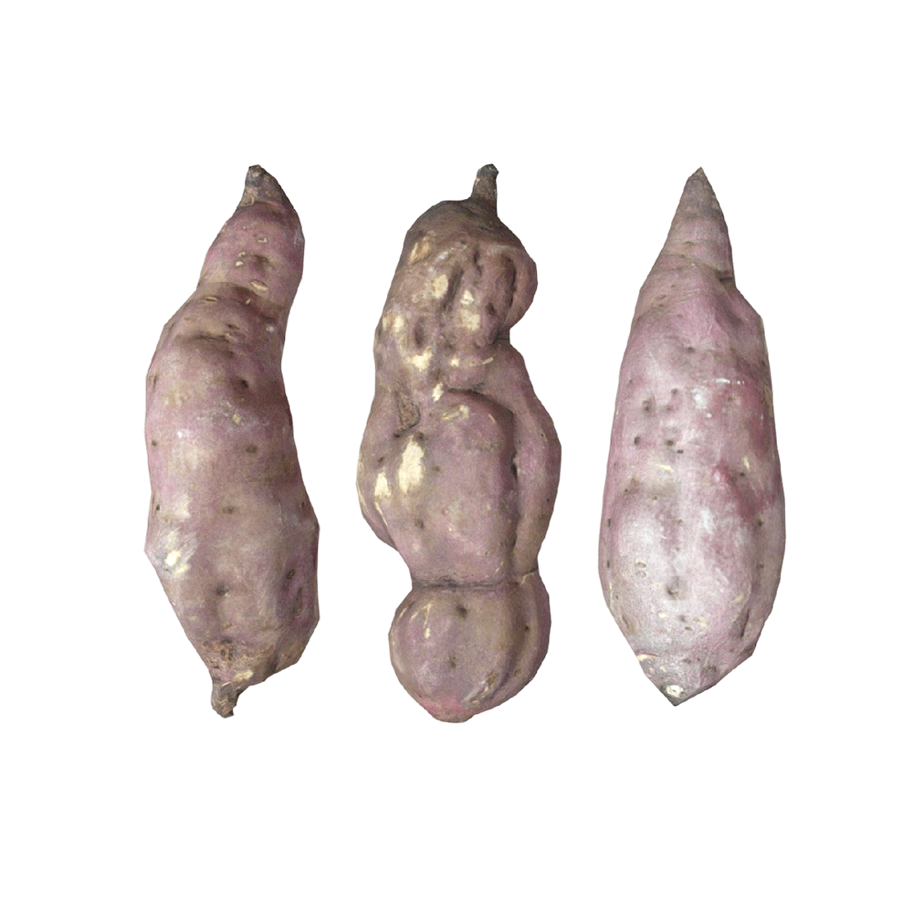 红薯（地瓜、番薯） | 农作物,粮食作物,红薯,番薯,甘薯,地瓜,地瓜3D模型,3D模型,3D打印,3D素材,obj,glTF,fbx,dae,stl,3ds,glb,usdz,3dmax,blender模型,VisionPro,3D建模,3D扫描,3d打印模型