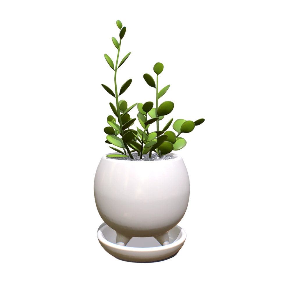 银元藤多肉植物盆栽 | 多肉植物,盆栽,多肉,室内盆栽,盆栽植物,多肉盆栽,桌面盆栽,银元藤,绿之太鼓,3D模型,3D打印,3D素材,obj,glTF,fbx,dae,stl,3ds,glb,usdz,3dmax,blender模型,VisionPro,3D建模,3D扫描,3d打印模型