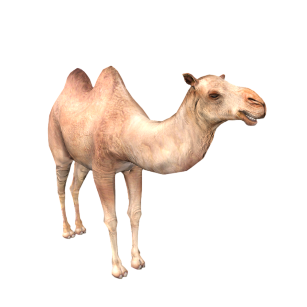 写实沙漠骆驼AR动画3D模型 | 动物,哺乳动物,次世代,骆驼,沙漠,驼峰,双峰骆驼,沙漠骆驼,双驼峰,3D模型,3D打印,3D素材,obj,glTF,fbx,dae,stl,3ds,glb,usdz,3dmax,blender模型,VisionPro,3D建模,3D扫描,3d打印模型