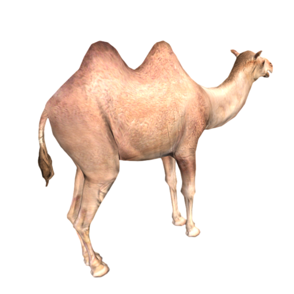 写实沙漠骆驼AR动画3D模型 | 动物,哺乳动物,次世代,骆驼,沙漠,驼峰,双峰骆驼,沙漠骆驼,双驼峰,3D模型,3D打印,3D素材,obj,glTF,fbx,dae,stl,3ds,glb,usdz,3dmax,blender模型,VisionPro,3D建模,3D扫描,3d打印模型