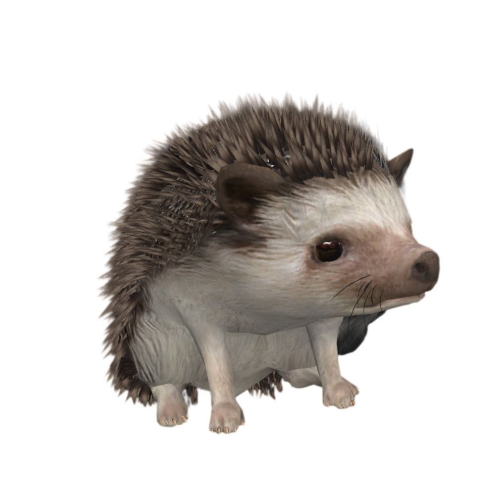 野生动物刺猬打盹动画3D模型 | 野生动物,可爱,刺猬,刺团,猬鼠,偷瓜獾,毛刺,小动物,3D模型,3D打印,3D素材,obj,glTF,fbx,dae,stl,3ds,glb,usdz,3dmax,blender模型,VisionPro,3D建模,3D扫描,3d打印模型