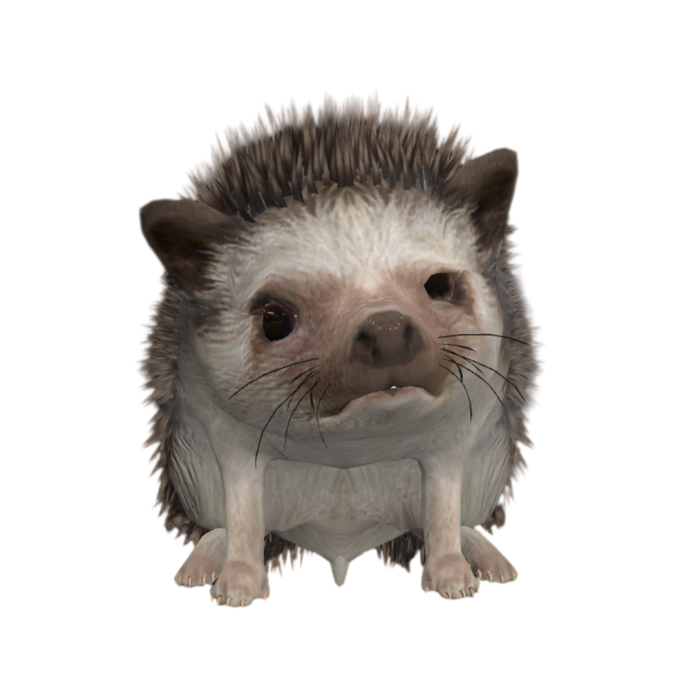 野生动物刺猬打盹动画3D模型 | 野生动物,可爱,刺猬,刺团,猬鼠,偷瓜獾,毛刺,小动物,3D模型,3D打印,3D素材,obj,glTF,fbx,dae,stl,3ds,glb,usdz,3dmax,blender模型,VisionPro,3D建模,3D扫描,3d打印模型