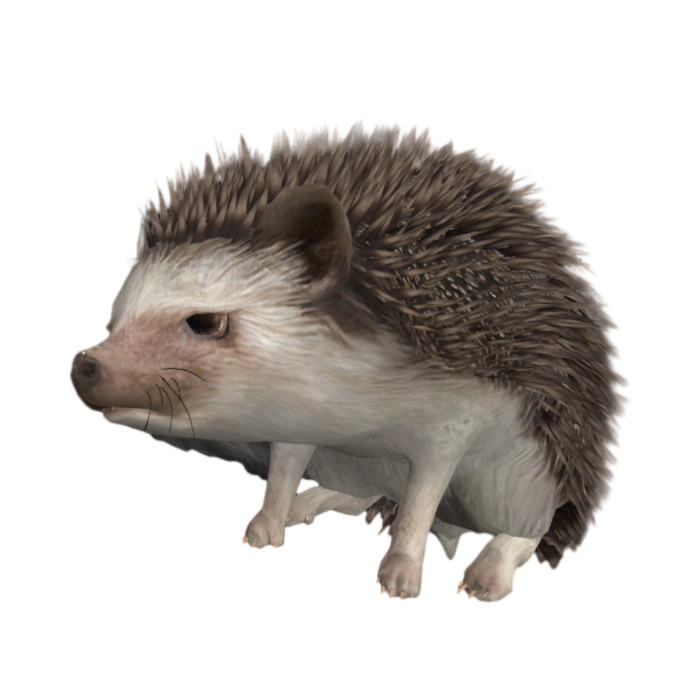 野生动物刺猬打盹动画3D模型 | 野生动物,可爱,刺猬,刺团,猬鼠,偷瓜獾,毛刺,小动物,3D模型,3D打印,3D素材,obj,glTF,fbx,dae,stl,3ds,glb,usdz,3dmax,blender模型,VisionPro,3D建模,3D扫描,3d打印模型