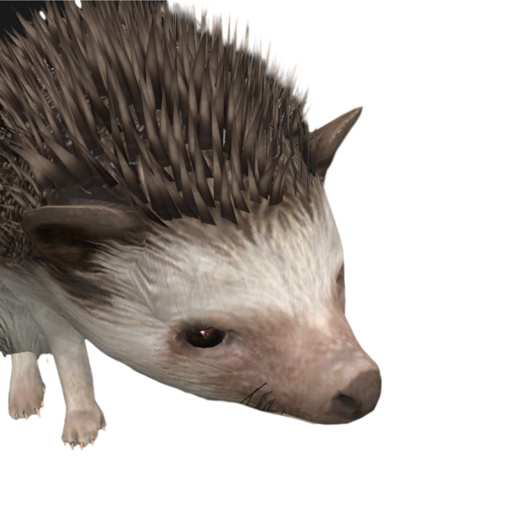 野生动物刺猬打盹动画3D模型 | 野生动物,可爱,刺猬,刺团,猬鼠,偷瓜獾,毛刺,小动物,3D模型,3D打印,3D素材,obj,glTF,fbx,dae,stl,3ds,glb,usdz,3dmax,blender模型,VisionPro,3D建模,3D扫描,3d打印模型