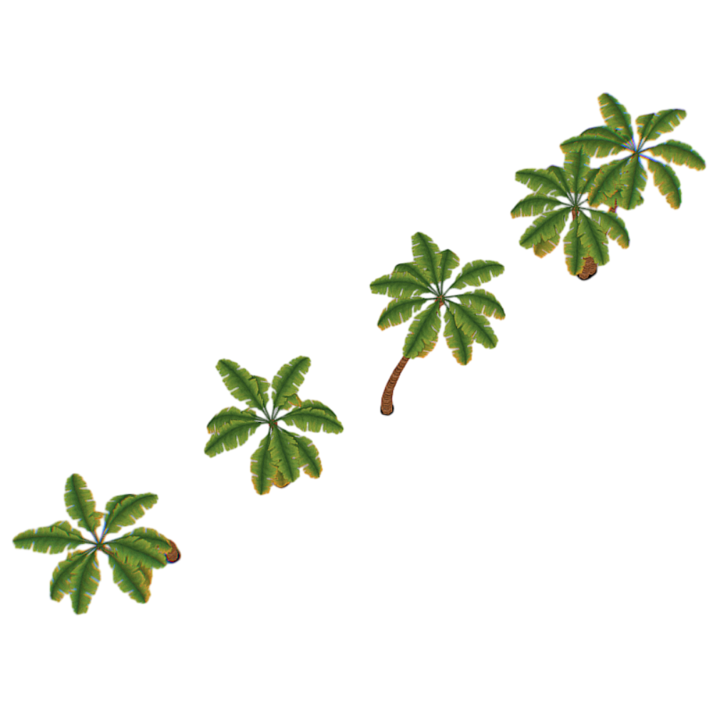 一排不同样式的卡通椰子树3D模型 | 植物,卡通,水果,风格化,Q版本,果汁,椰树,海边,3D模型,3D打印,3D素材,obj,glTF,fbx,dae,stl,3ds,glb,usdz,3dmax,blender模型,VisionPro,3D建模,3D扫描,3d打印模型