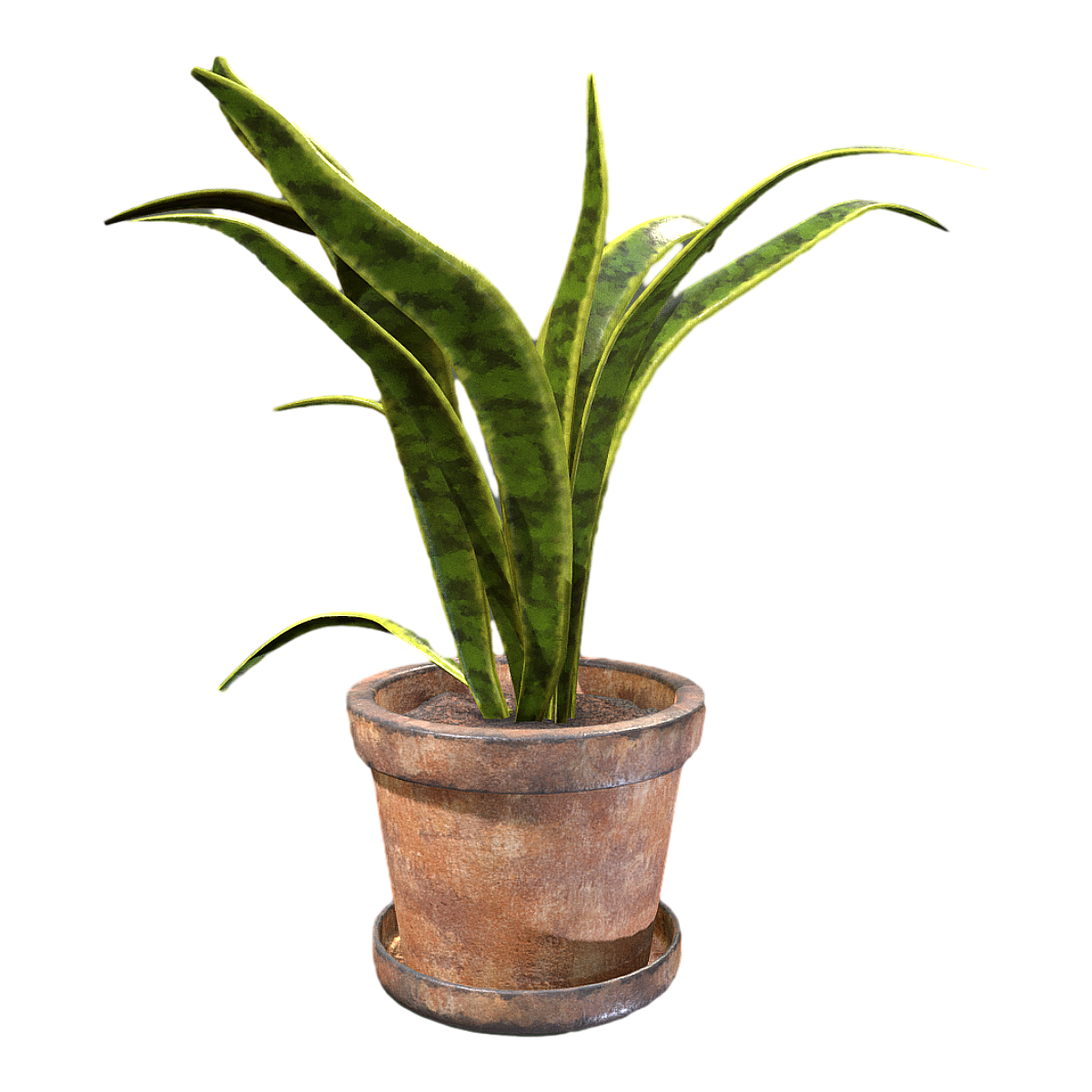  黄金虎皮兰室内客厅办公室桌面四季常青盆栽 | 盆栽,花卉,绿植,绿萝,室内植物,虎皮兰,黄金虎皮兰,虎尾兰,除甲醛,空气净化,3D模型,3D打印,3D素材,obj,glTF,fbx,dae,stl,3ds,glb,usdz,3dmax,blender模型,VisionPro,3D建模,3D扫描,3d打印模型